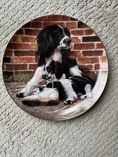 Franklin Mint Springer Spaniel