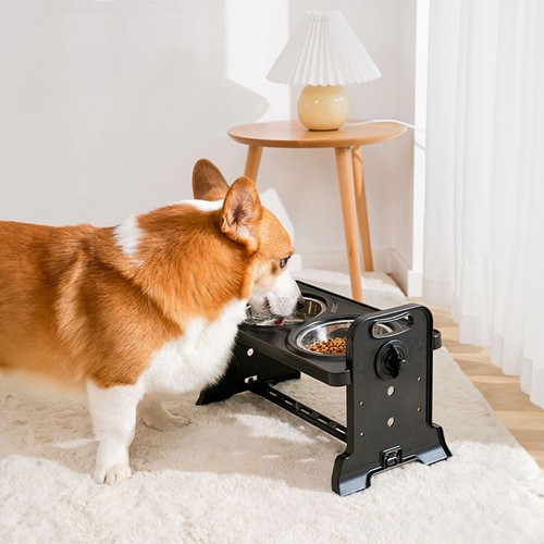 Adjustable double bowls pet - bowls,