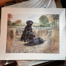 15 X Joblot  Ruane Manning Black Labs Prints , Poster Art 16” X 20” Drawing