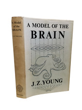 A Model Of The Brain, By J. Z. Young - 1964