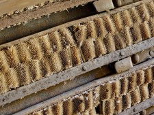 Photo 6x4 Part of the carding