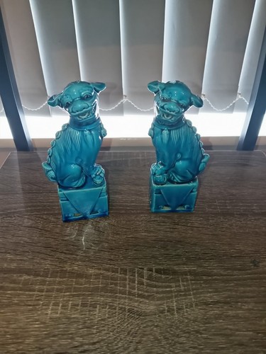 Turquoise chinese dog - turquoise,