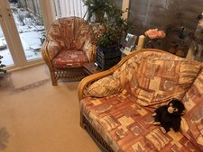 Rattan for conservatory FREE