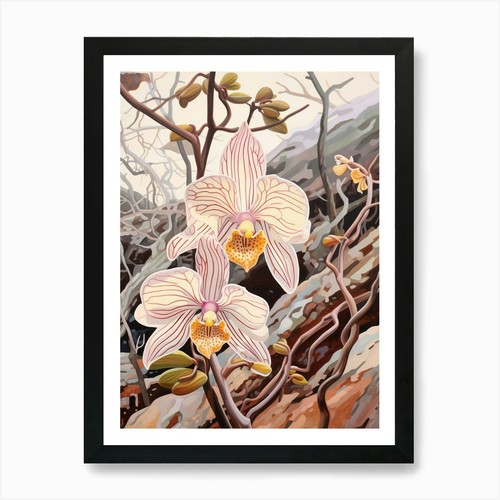 Monkey orchid flower - 2,