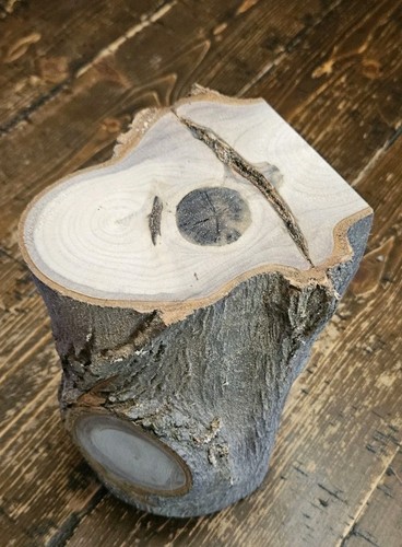 Poplar wood turning crotch - crotch, log