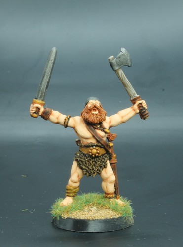 28mm painted wargames foundry - wargames,
