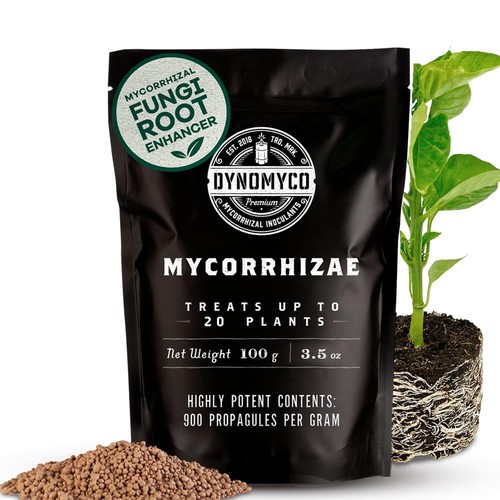 Dynomyco mycorrhizal fungi - mycorrhizal,