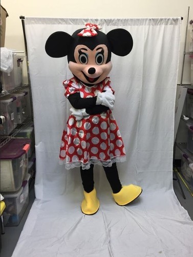 Minnie mouse mascot birthday - mouse,