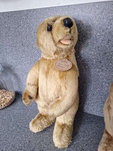 Limited edition aurora teddy - limited,