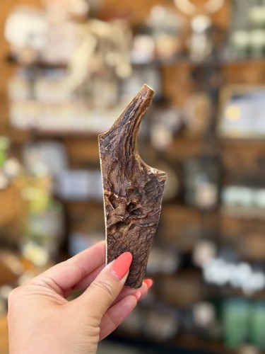 Elk antler chew for dogs - elk,