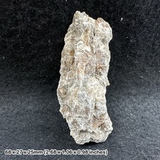 Gypsum daisy bed from the uk