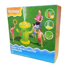 inflatable cactus water