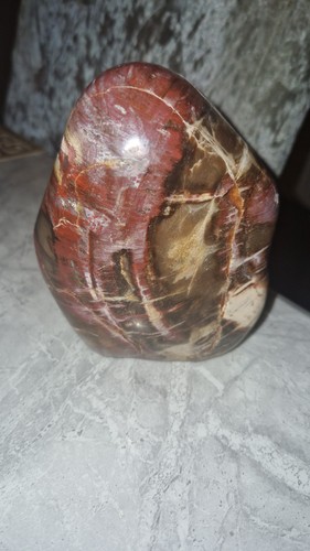 Petrified wood freeform - petrified,
