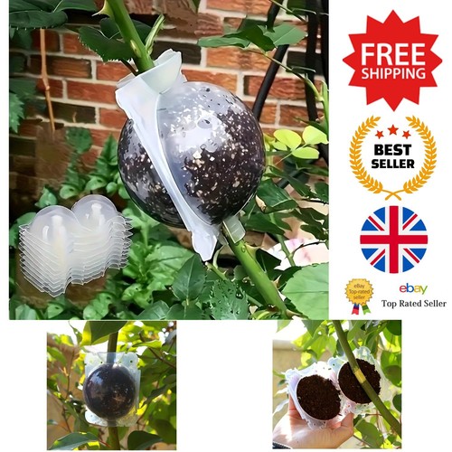 Plant propagation kit - propagation, 10pcs