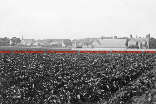 F005561 swinton duns - f005561,