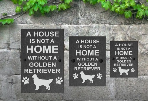 House not home dog - not,