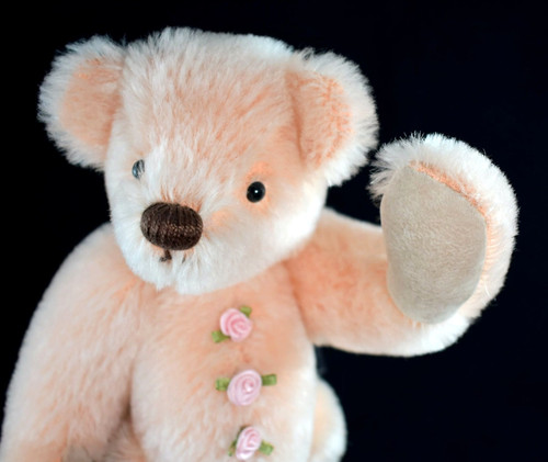 Deans rag book rosie bear - rag,