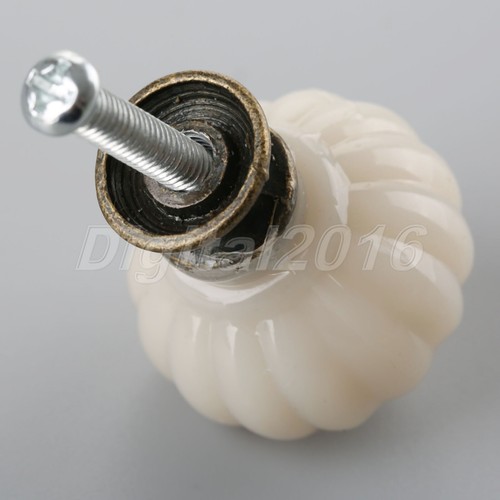 Cream white pumpkin - cream,