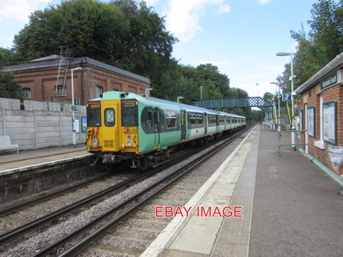 Photo southern emu 455828 - ,