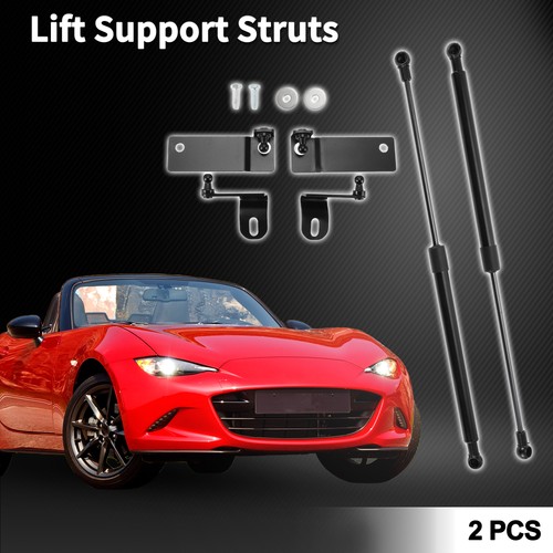 Front hood lift supports - hood,