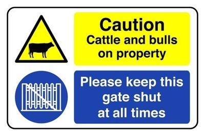 Caution cattle and bulls - cattle,
