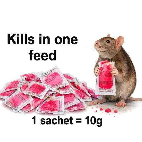 Strong rat poison single feed - rat,