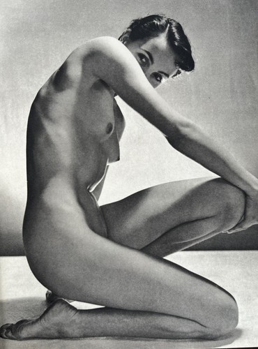 Nude study plate published - nude, 41