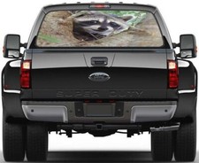 Raccoon Rear Window Decal