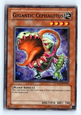 Yu-Gi-Oh Gigantic Cephalotus