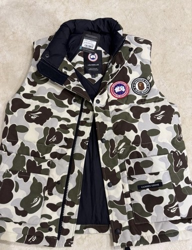 Canada goose bathing - x,