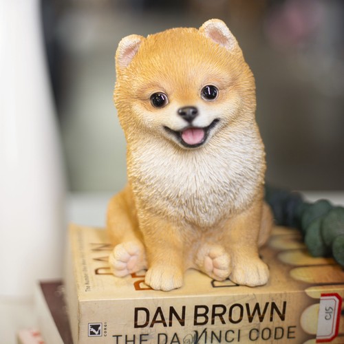 Soreal brown pomeranian - soreal,
