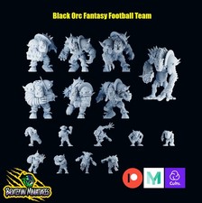 Brawlerton's Big Boys Orc Team