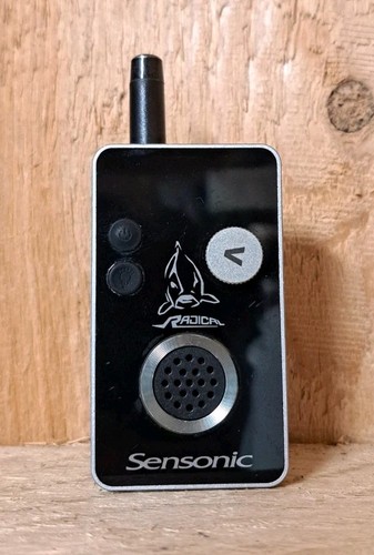 Quantum radical sensonic - radical,