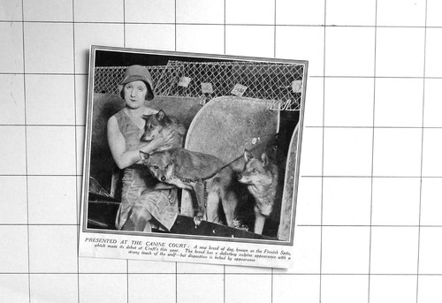 1930 this new breed - this, of