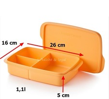 Tupperware break box, snack