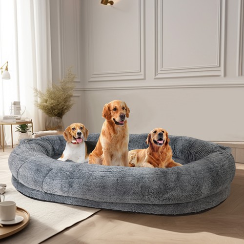 Jumbo human sized - dog, bed