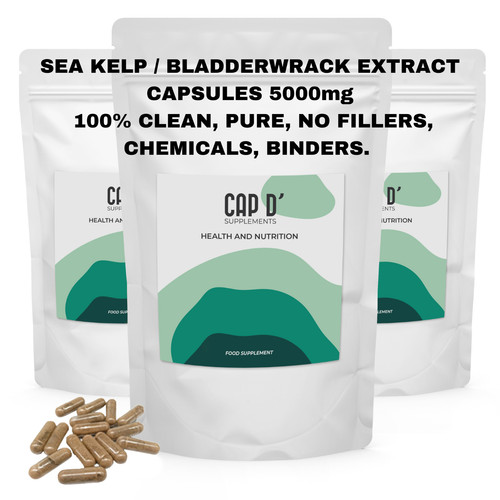 Sea kelp extract capsules - kelp,