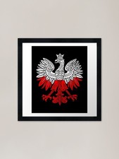 Polish Eagle Red White Flag14
