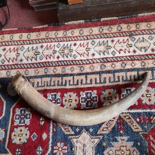 ANTIQUE UNMOUNTED SCOTTISH