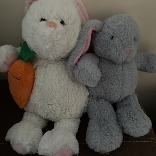 Cuddly soft toy - -, teddy