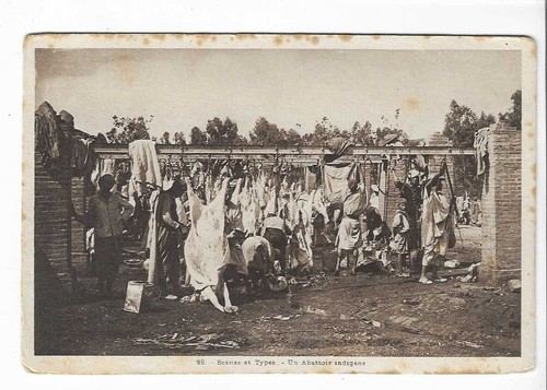 Scenes and types abattoir - scenes,
