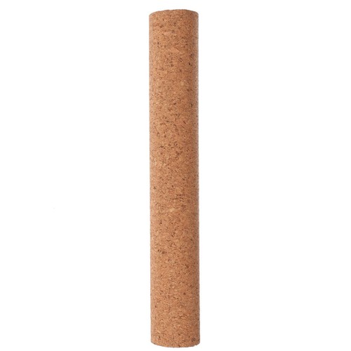 Bearded dragon climbing toy - bearded,