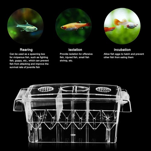Fish breeding box - breeding, large
