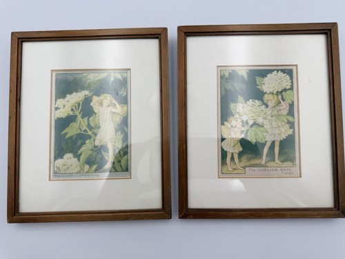 Pair cicely mary barker - mary,
