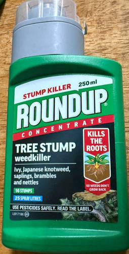 Roundup tree stump weedkiller - roundup,