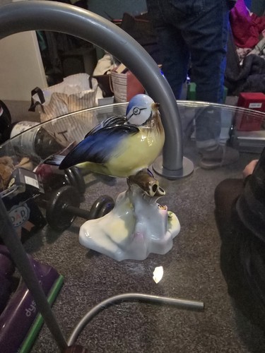 Royal doulton blue - blue, tit