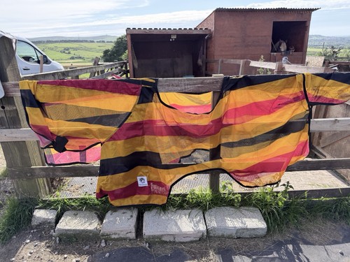 Striped horse rug sheet with - horse, rug/sheet