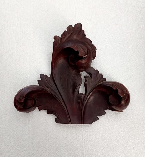Brazilian rosewood xviii - brazilian,