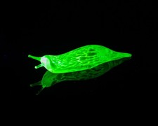 Green Uranium Glass Slug