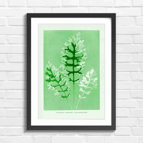Vintage botanical leaves with - botanical,